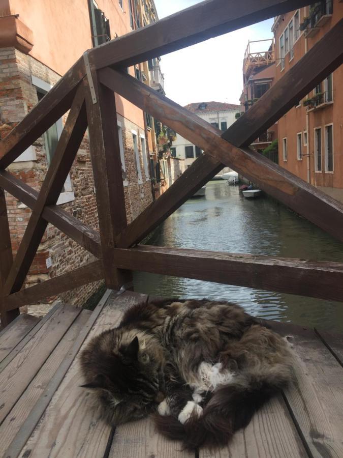 Tintoretto Vista Real البندقية المظهر الخارجي الصورة